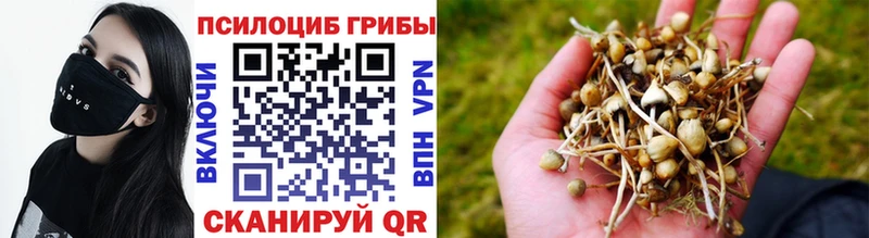 маркетплейс Telegram  Обоянь  Псилоцибиновые грибы мухоморы 